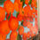 Thumbnail: All the Oranges and a Bee