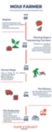 Our Design Process (4).png