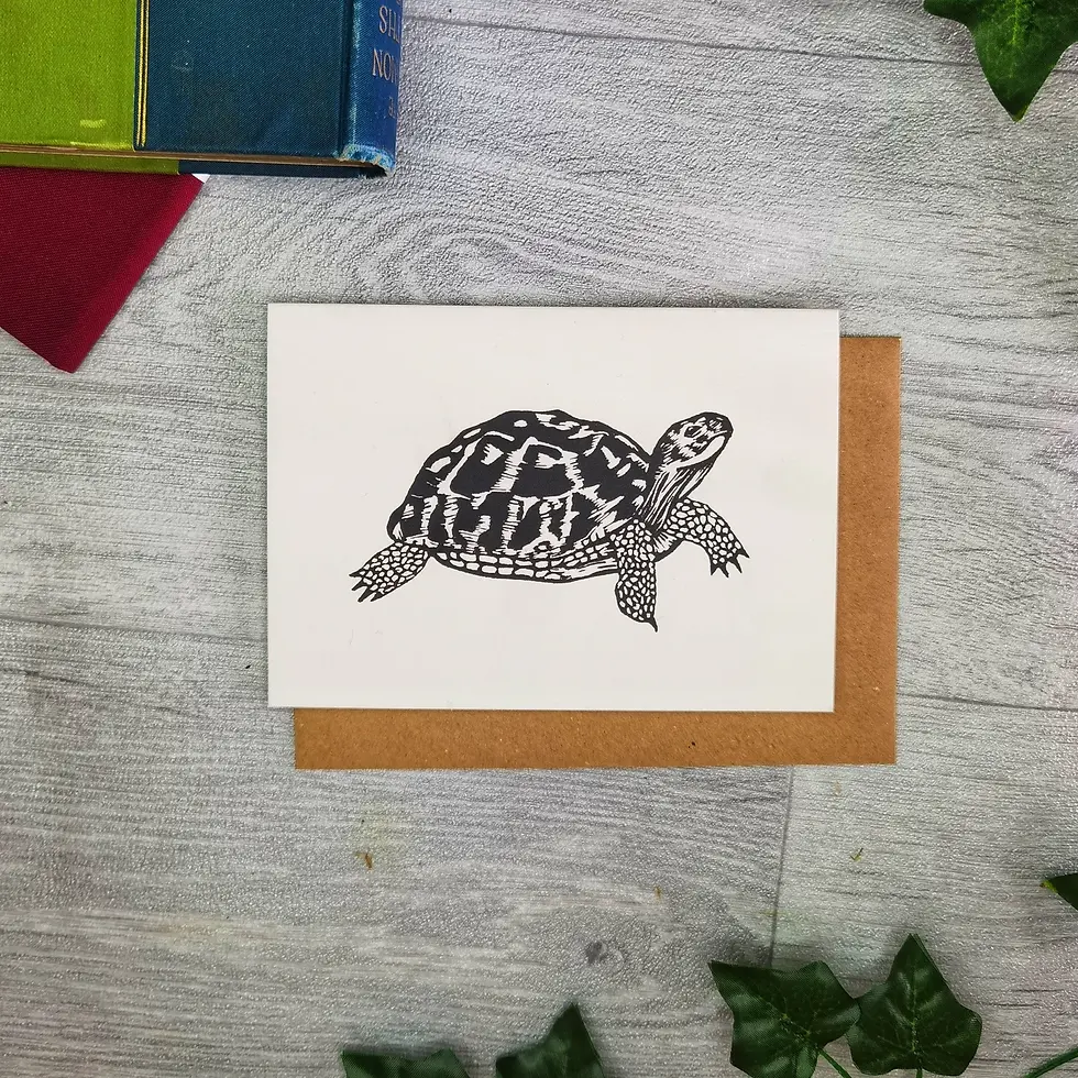 Thumbnail: Tortoise Greetings Card