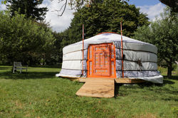 zoothérapeute chien et cheval Genève