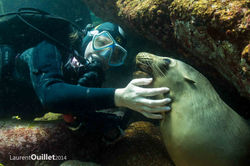 Basse Californie 2014