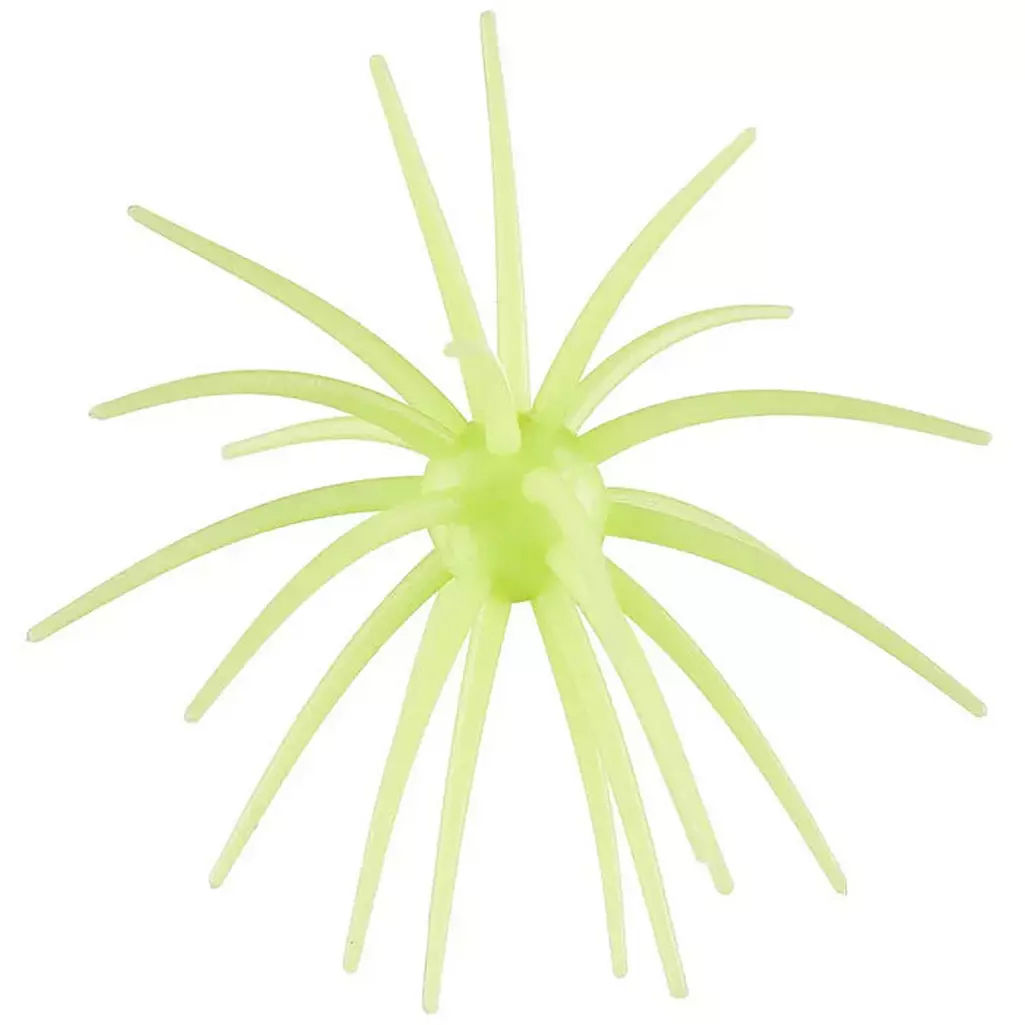 Hag’s Baits | Prickly Pear | Llano Lime - 19mm