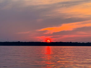 Clear Water vs. Dirty Water: A Complete Bait Breakdown for Every Condition