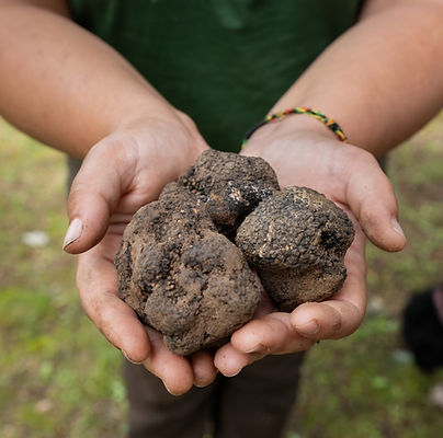 tartufi copertina compressa_edited_edited.jpg
