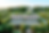 b54717b7-13cc-40bc-b3f5-9dec8bfe92fc_edited.png