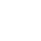 DTI.png