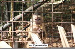 ysw1xot_13518872674_o