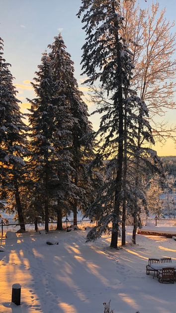 BGR Winter
