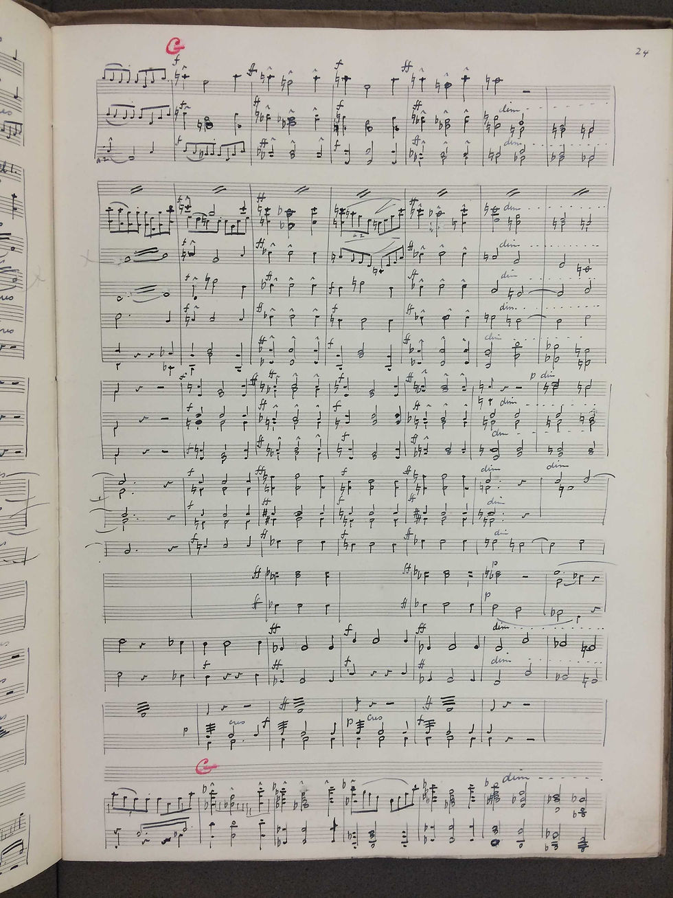 26
