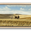Thumbnail: A group of horses graze on a golden hillside beneath a wide blue sky, the scene calm and sunlit, set in an oak frame