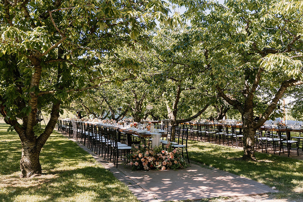 A Divine Affair - Niagara Wedding Planner - Tiffany Lynn Photography