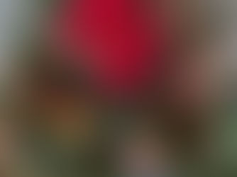 Family Time: Free Christmas Decorations