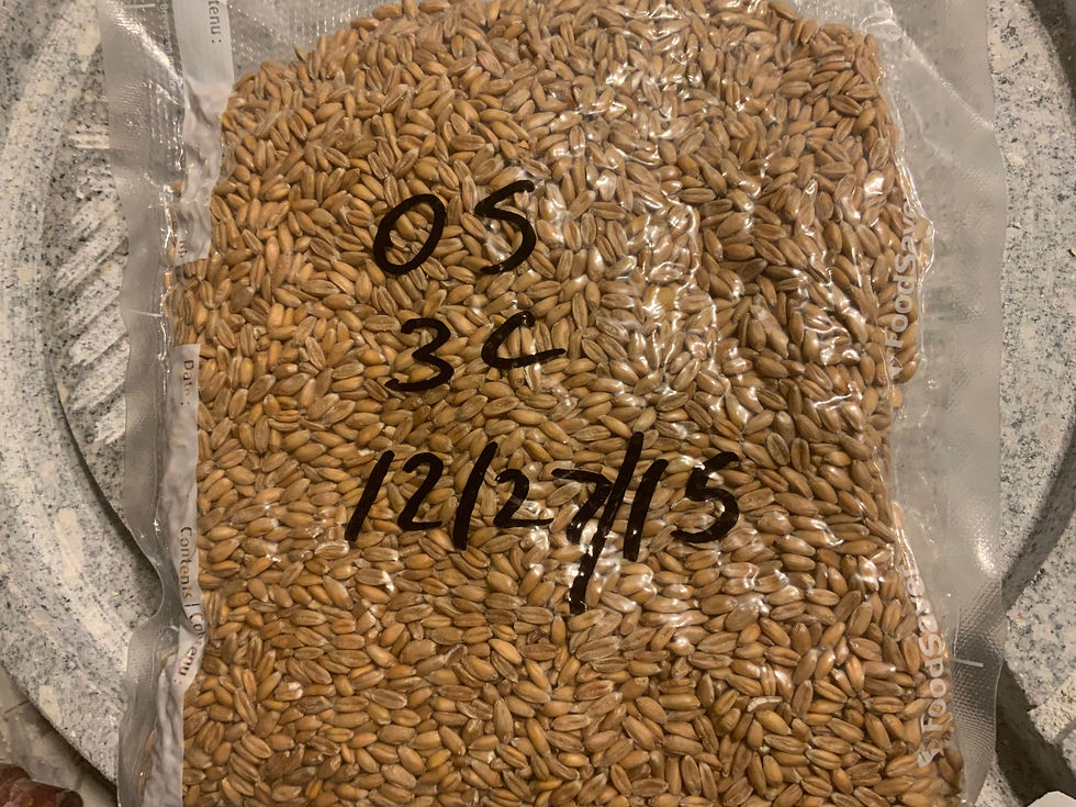 Stored wheat berries