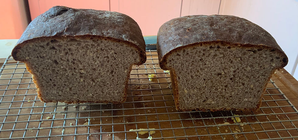 Fresh cut bread