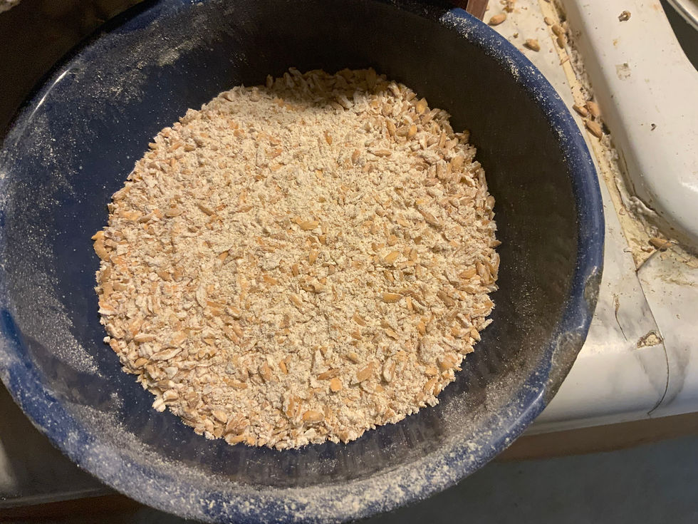 Bowl of first run grain