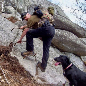 A dog living the life