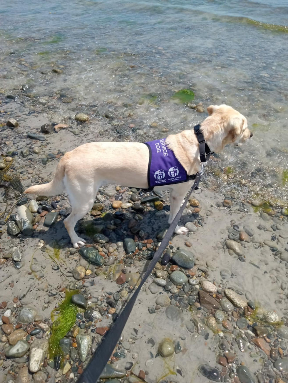 Ryland wading in the surf