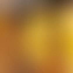 Making fettuccine from scratch