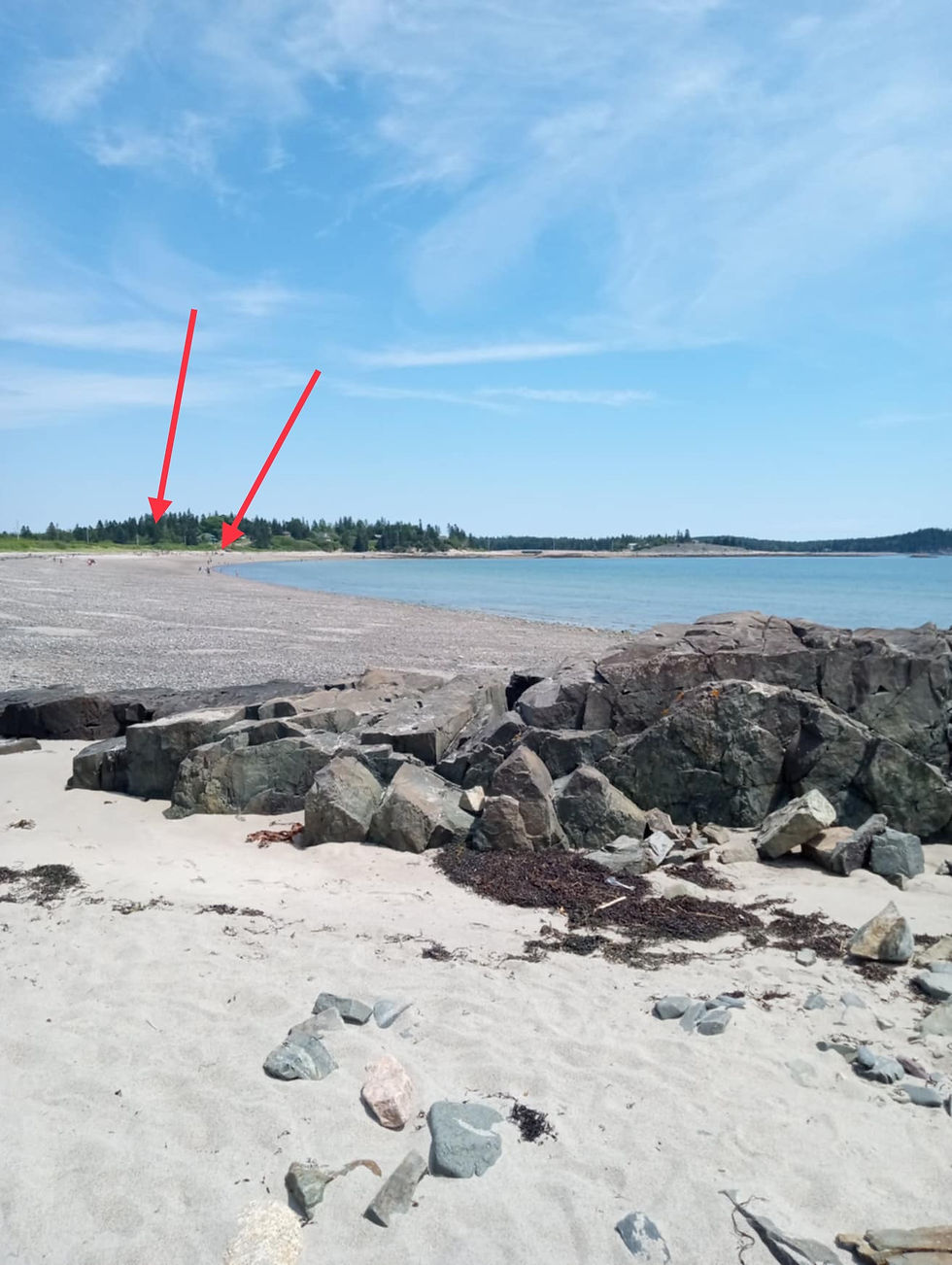 Other people on the beach
