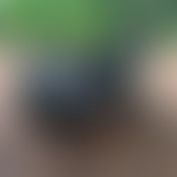 Rebuilding the top end of a New Evo