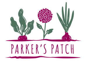 Julia's logo FINAL-03.png