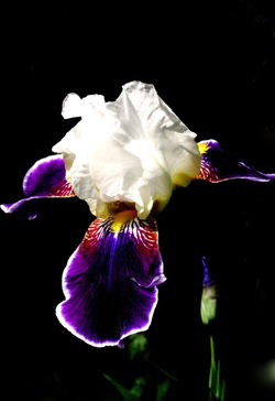 054-11+a.jpg 2014-8-29-16:3:37