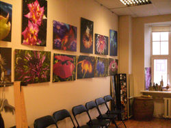 Picture 460.jpg 2014-8-26-18:35:48