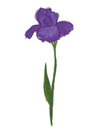 Iris_edited.png