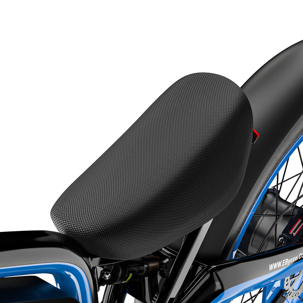 Miniature : Un vélo electrique à la mode E-Bycco-9