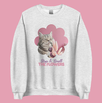 unisex-crew-neck-sweatshirt-ash-front-69eba817a542c_edited.jpg