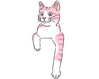 6.png