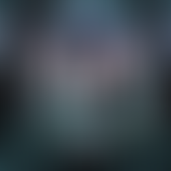 Nox der Wolf steht im Wald