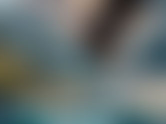 Ravi der Adler gliegt über das Meer, umzingelt von Möwen