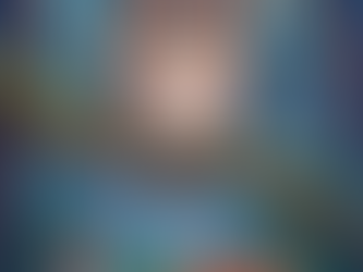 Emil sitzt auf einem Ast bei Nacht und seine Freunde schlafen