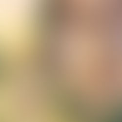 Noah und sein Papa besuchen das alte Haus in dem er aufgewachsen ist voller Erinnerungen