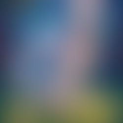 Luna das Einhorn steht mit ihrer kleinen Schwester Saphira im Wald