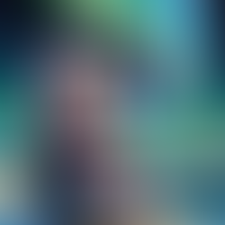 Kuna sitzt im Schnee und bewundert die grünen, blauen und gelben Nordlichter am Himmel