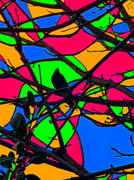 F54E4292-2F6B-4C37-9039-7BCD5BC7FC0C.jpeg
