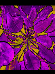 853B7ECD-9EF3-4EE6-89B8-0CBD24EC553E.jpeg