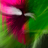 2D0D9BB2-E2AD-42DC-97F4-169881AC47B1.jpeg