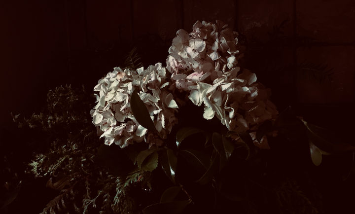 IMG_9077.jpeg