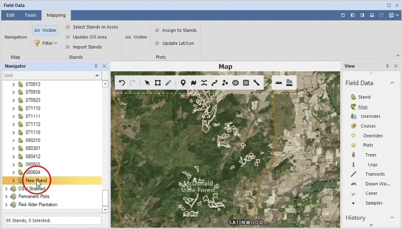 Forest Inventory Mapping in Assisi Forest