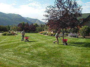 Durango Organic Fertilizer provided by Lupine Lawn Care