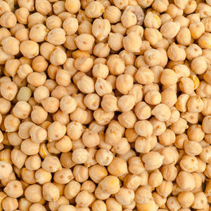 Chickpea Protein Series