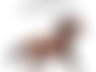 コミュニケーションゲーム どっちがいい?