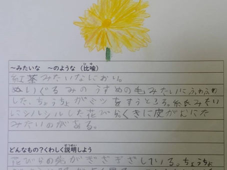 ちょっと涙してしまいそうな心を揺さぶる表現