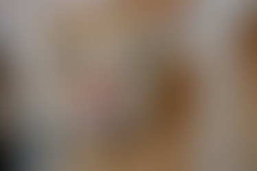 Abril Laranja: Alagoinhas lança cronograma de conscientização contra maus-tratos aos animais