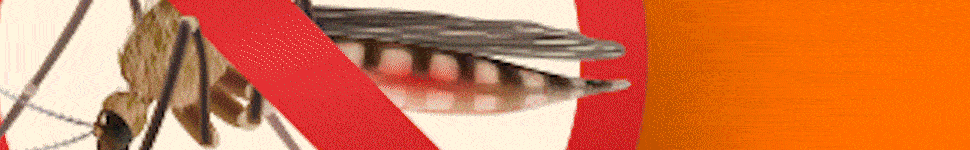 ALAGOINHAS - DENGUE - 970 X 150.gif