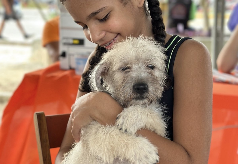 Feira de Adoção em Alagoinhas garante novos lares para animais