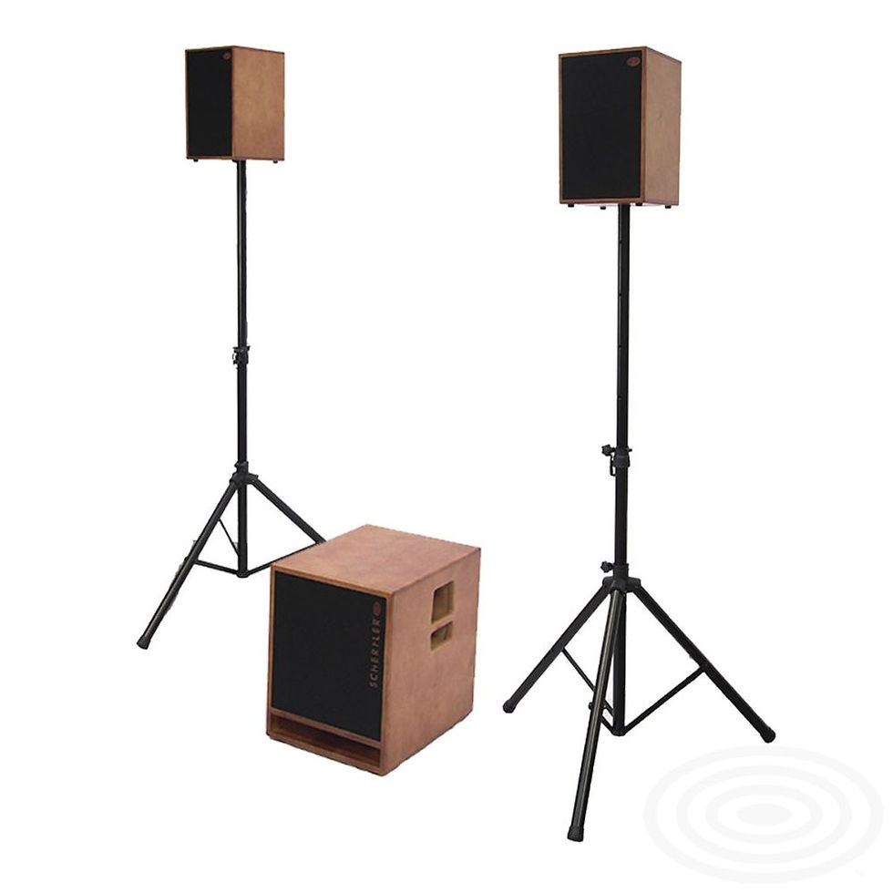 Thumbnail: Schertler Tom active 2.1 system (Wood)